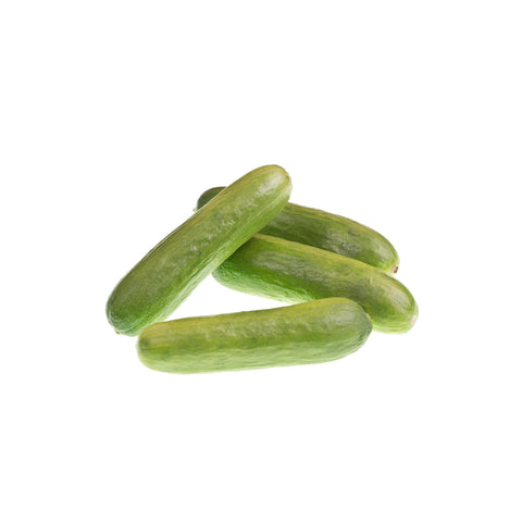 Baby Cucumbers Seedles || Mediterraneo