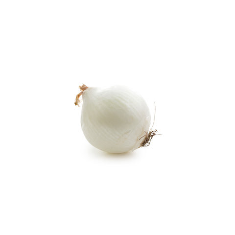 White Onion || Witte Ui