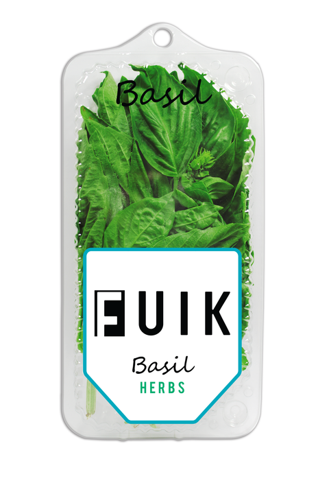 Basil | Basilicum