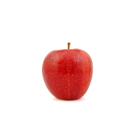 Apple Gala | Appel
