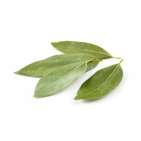 Bay Leaves | Laurierblad