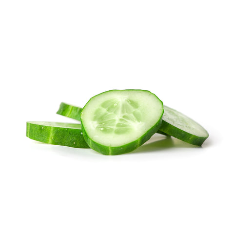 Cucumber | Komkommer | Organic