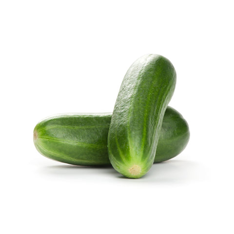 Cucumber | Komkommer | Organic