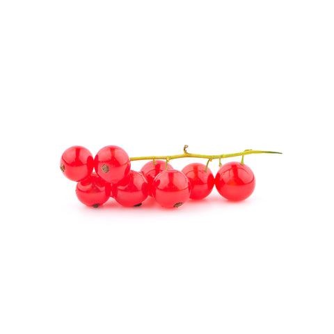 Redcurrant | Aalbes