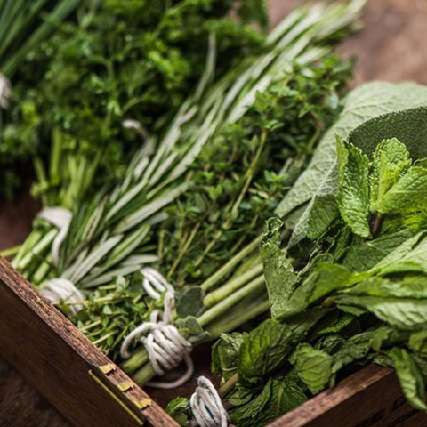 Kitchen Essential Bundle