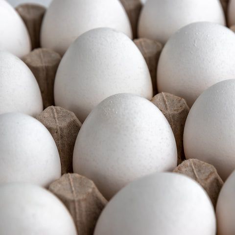 Eggs