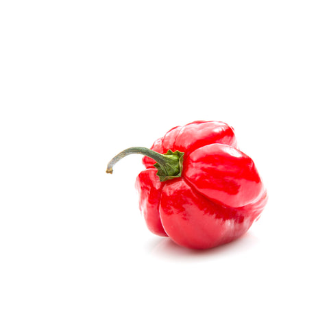 Habanero | Madame Jeanette | Organic