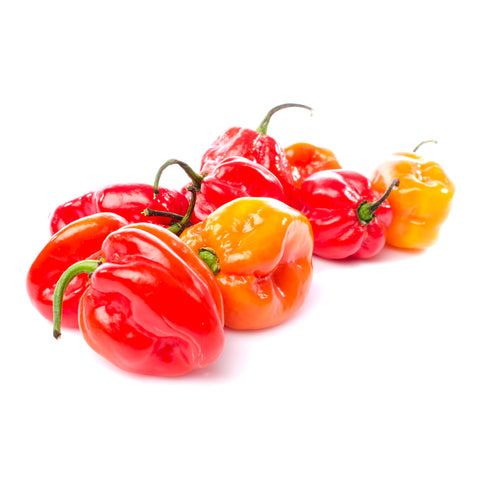 Habanero | Madame Jeanette | Organic