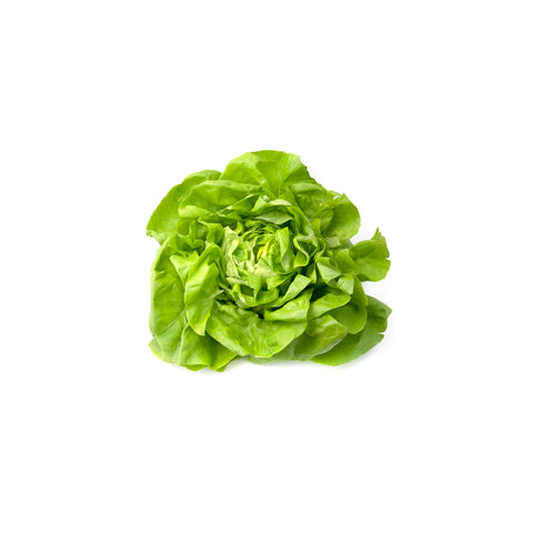 Green Lettuce