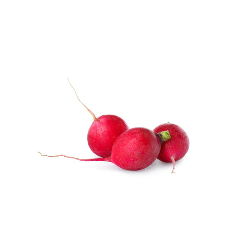 Radish | Radijs 6oz