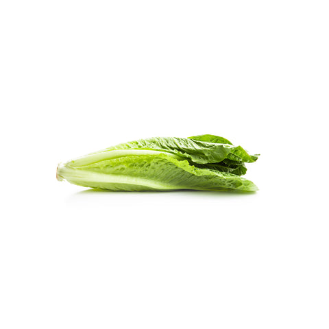 Romaine | Romeinse sla