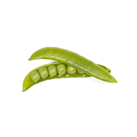 Sugar Snap Beans