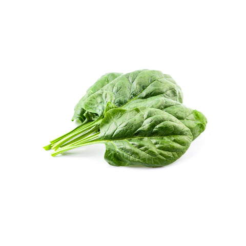 Spinach Savoy Leaves | Spinazie