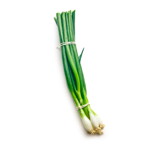 Spring Onion | Bosui