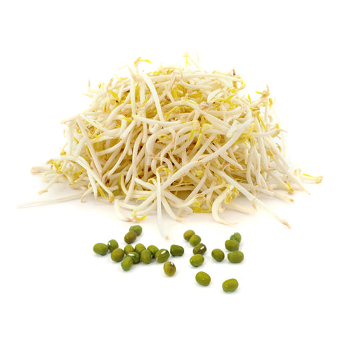 Taugé | Mung Beans