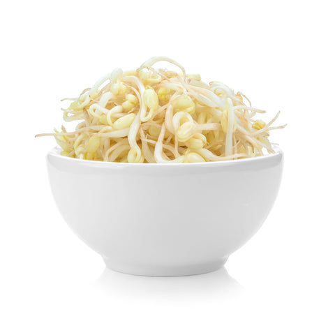 Taugé | Mung Beans