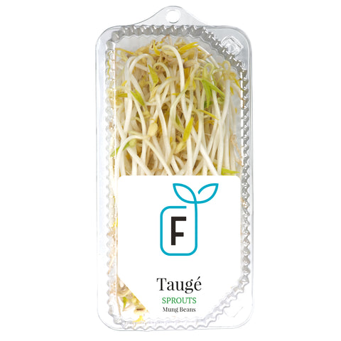 Taugé | Mung Beans