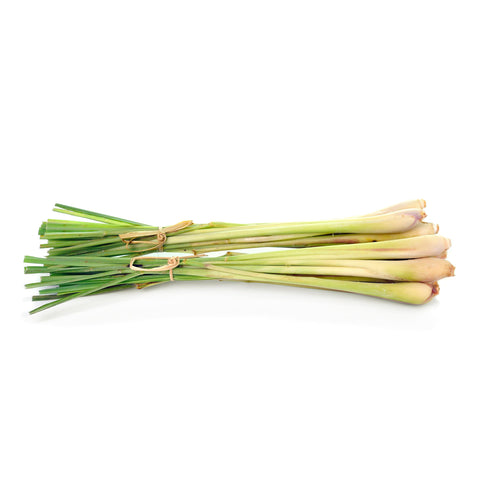 Lemongrass | Limoengras