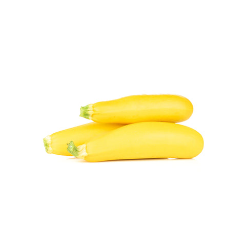 Zucchini Yellow | Courgette Geel