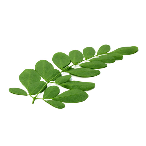 Moringa