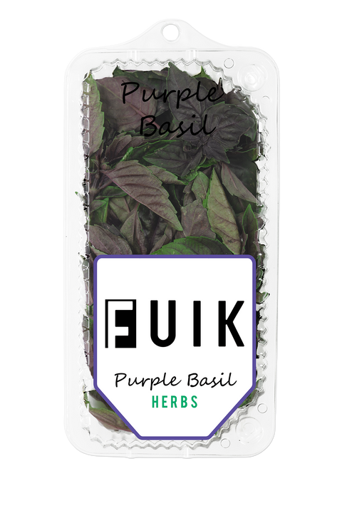 Purple Basil | Paars Basilicum