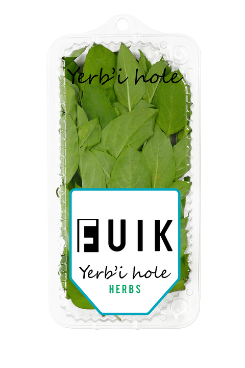 Yerb'i Hole