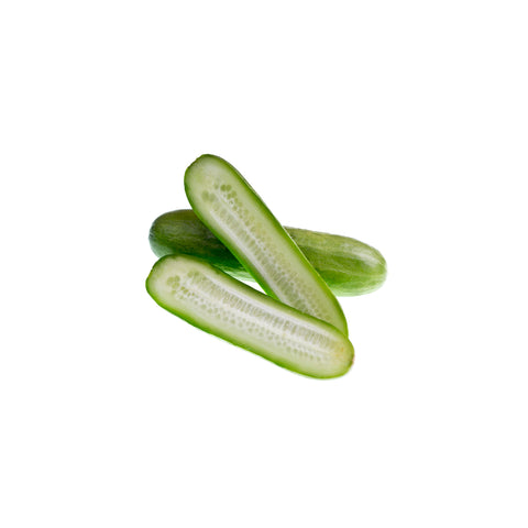 Baby Cucumbers Seedles || Mediterraneo