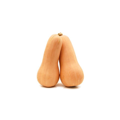 Butterhead Squash || Boterpompoen