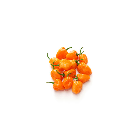 Picosito Aji Habanero || Habanero Chili Peppers 100gr
