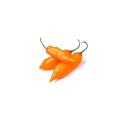 Picosito Aji Peruano || Peruvian Chili Pepper 150gr