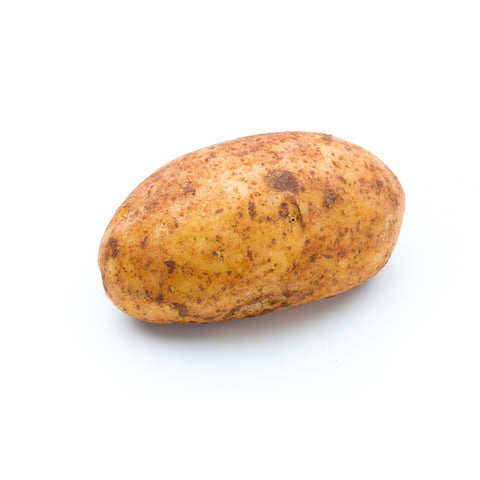 Potato Russet || Aardappel Russet