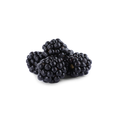 Blackberry | Bramen