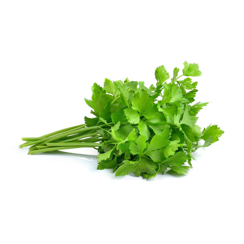 Celery | Selderij | Organic