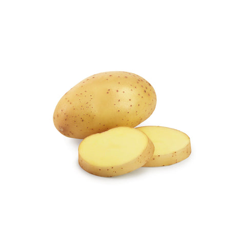 Potato Dutch | Aardappel