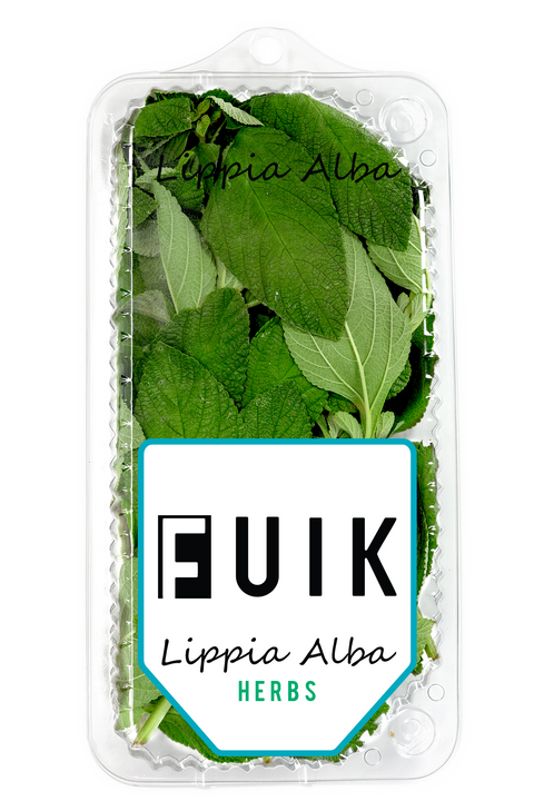 Lippia Alba | Organic